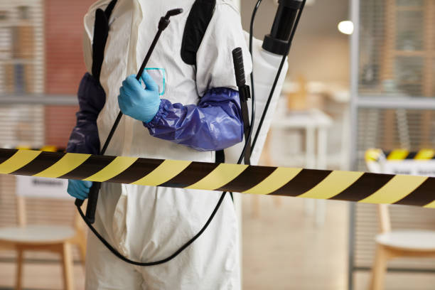 Professional Sewage Cleanup technician working in Rock Valley, IA